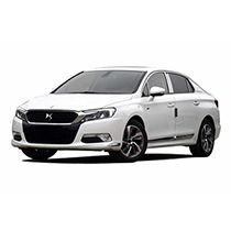 DS 5LS分期付款