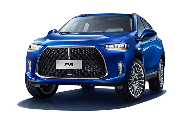 2018款 WEY P8 2.0T 尊贵型分期付款